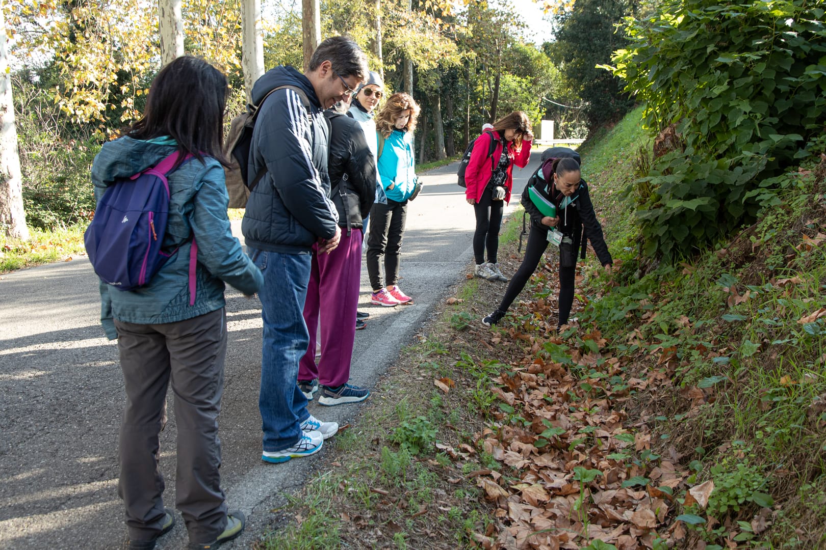 Varie escursioni nel territorio Pisano