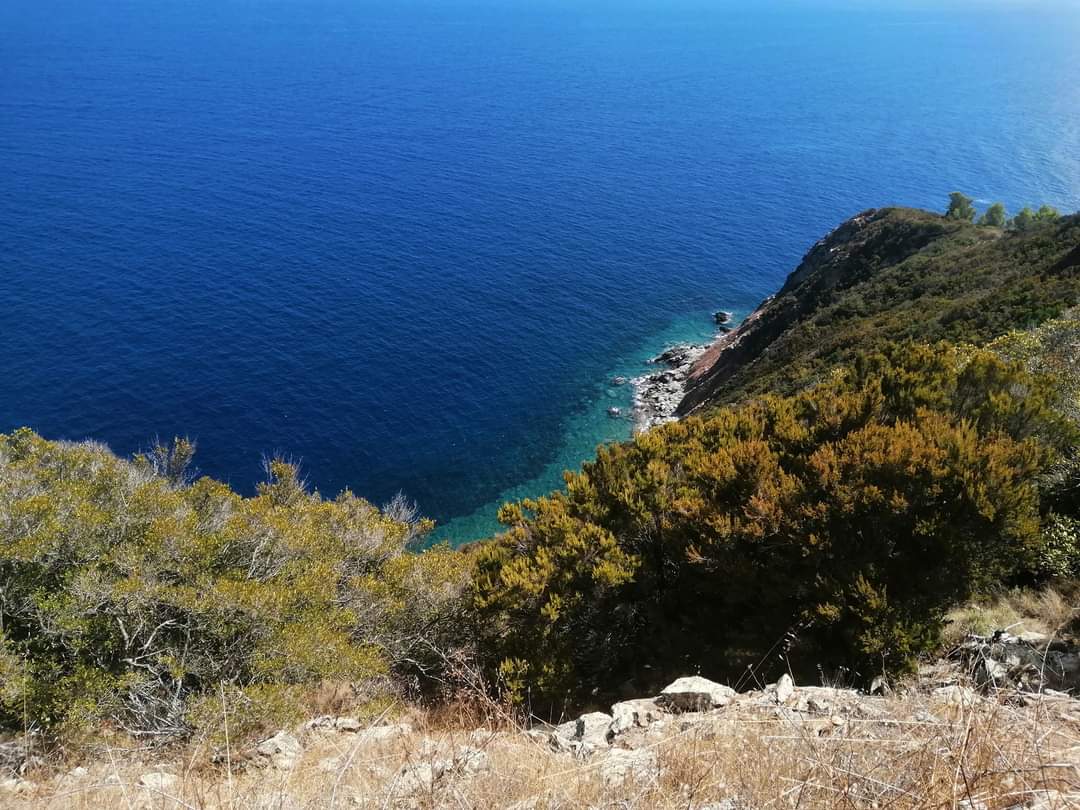 Varie escursioni nel territorio Pisano